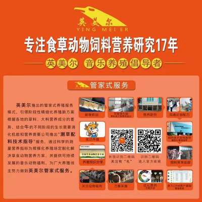 饲料与饲料添加剂 现代畜牧业的营养基石与科技支撑