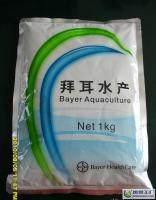 拜速盈 苗种培育期抗应激利器，显著提升成活率与养殖效益